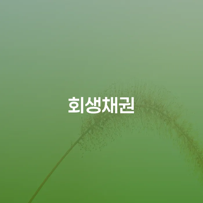개인회생탕감 개인회생으로 현명하게 확실한 진행