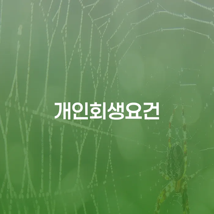 개인회생 개인회생 문제해결방법 진행방안