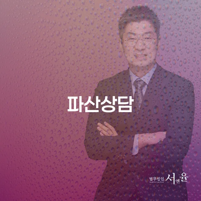 면책확인의소 개인회생 처리방법 하여야 하는 일