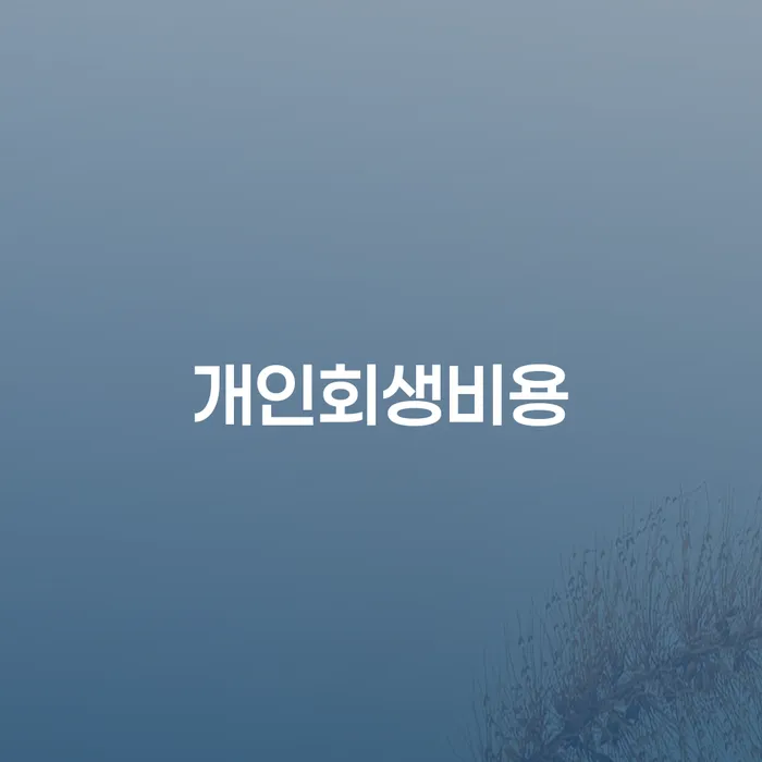 채권자파산신청 빚 해결할 살펴보세요