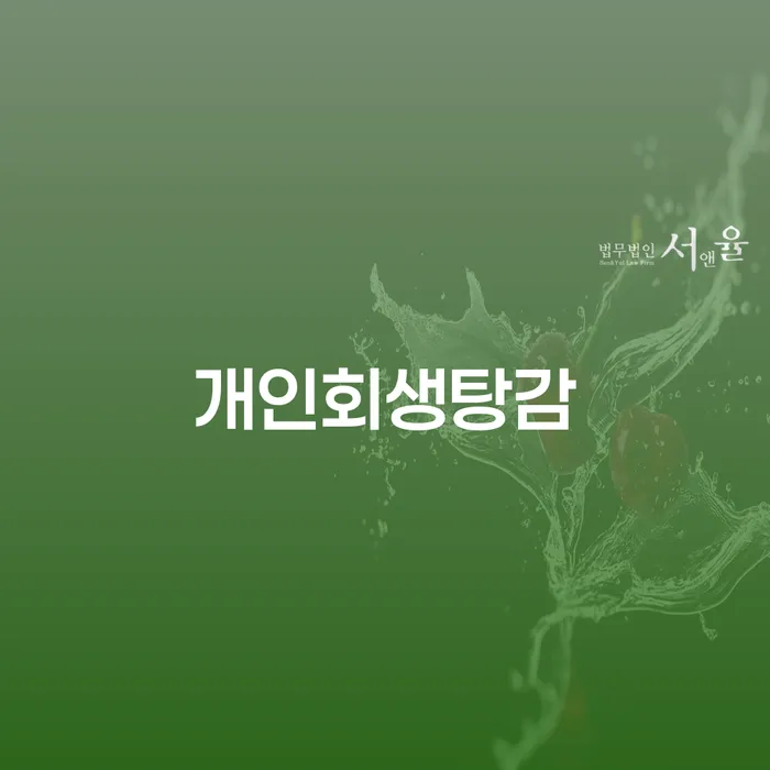 울산광역시 채무자회생및파산에관한법률 채무 효과적인 해결방법 확실한 진행