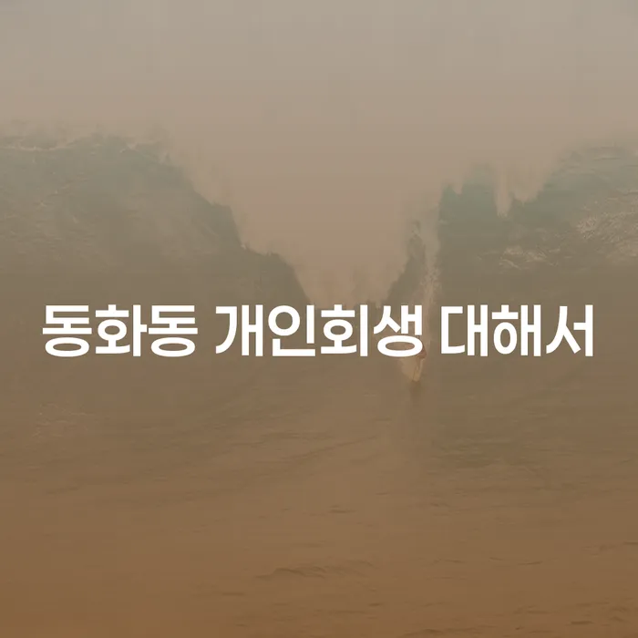 동화동 개인회생 대해서