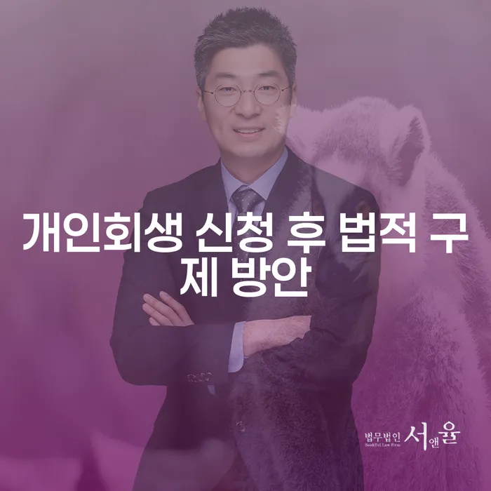 개인회생 신청 후 법적 구제 방안은 무엇일까요?