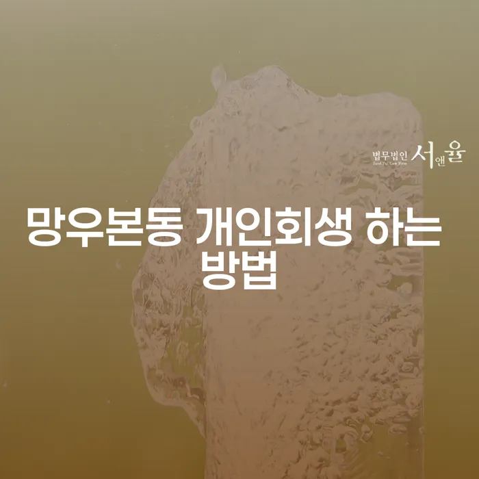 망우본동에서 개인회생을 진행하는 최적의 방법은?