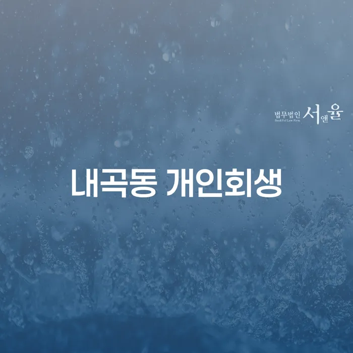 내곡동 개인회생이 필요한 이유와 신청 과정은 어떻게 될까요?